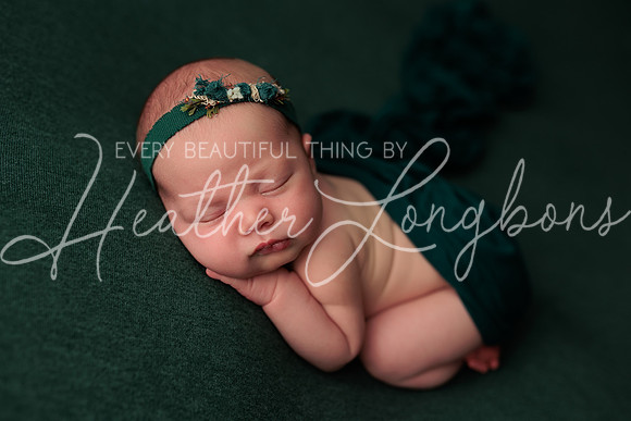 Bella Newborn-4