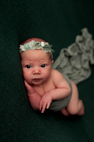 Bella Newborn-5