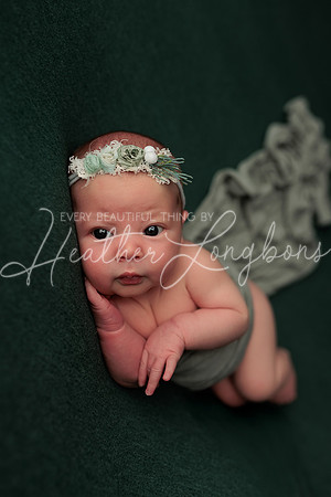 Bella Newborn-5