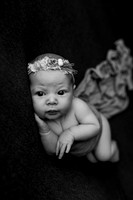 Bella Newborn-5BW