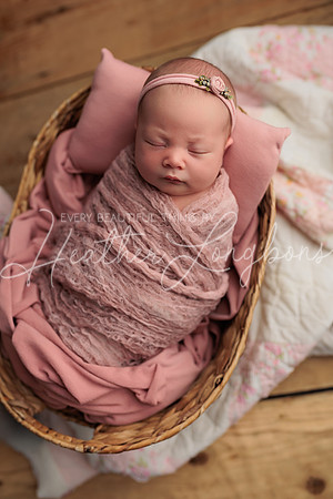 Bella Newborn-6