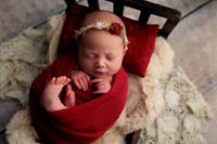 Bella Newborn-8