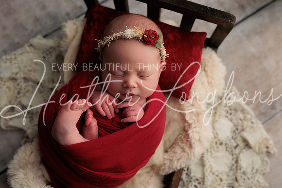 Bella Newborn-8