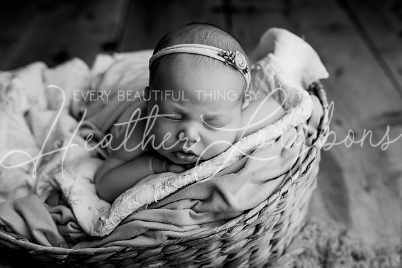 Bella Newborn-9BW
