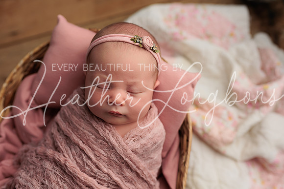 Bella Newborn-13