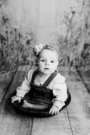 Dusti 6 months-1BW