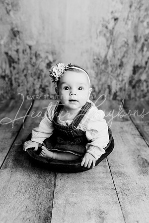 Dusti 6 months-2BW