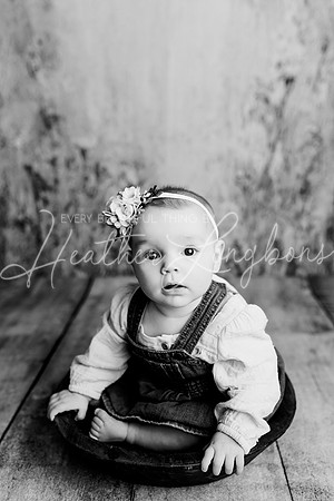Dusti 6 months-3BW