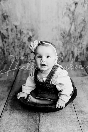 Dusti 6 months-6BW