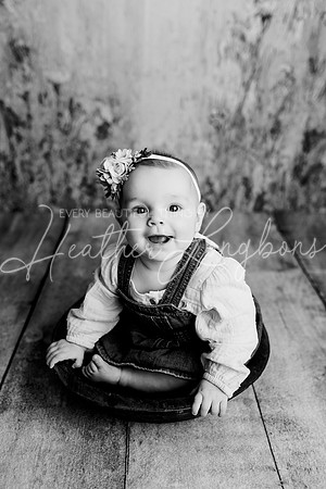 Dusti 6 months-8BW