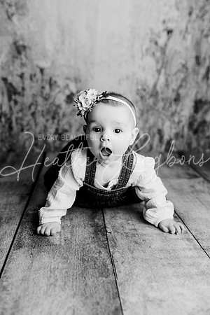 Dusti 6 months-10BW