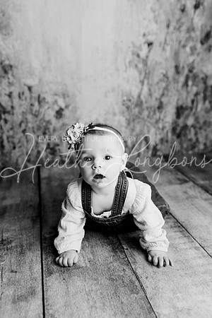 Dusti 6 months-11BW