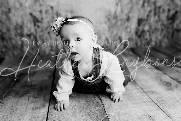 Dusti 6 months-12BW