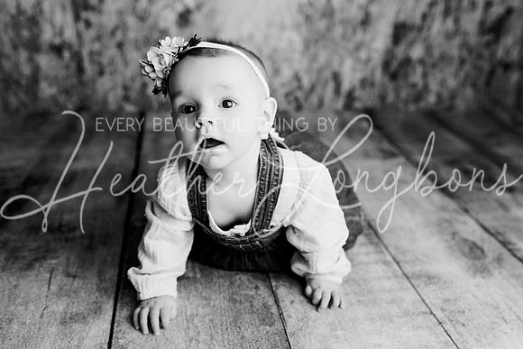 Dusti 6 months-14BW