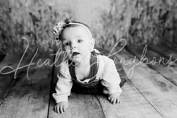 Dusti 6 months-13BW