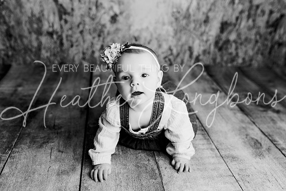 Dusti 6 months-15BW