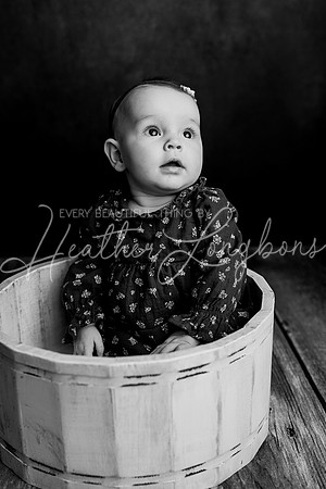 Dusti 6 months-29BW