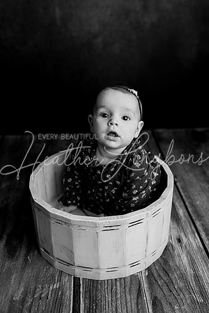 Dusti 6 months-31BW