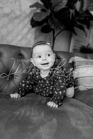 Dusti 6 months-55BW