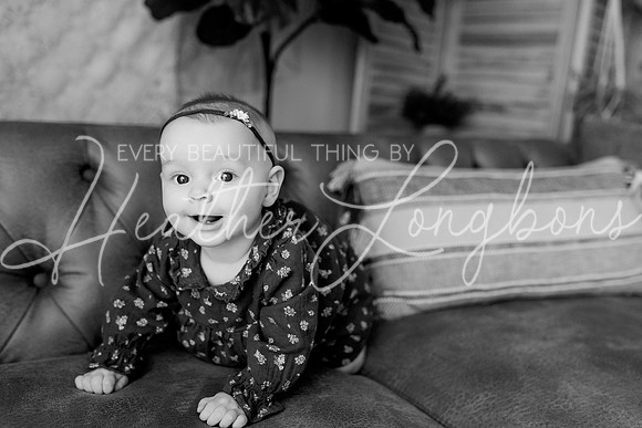 Dusti 6 months-56BW