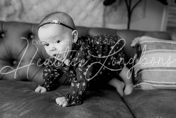 Dusti 6 months-58BW