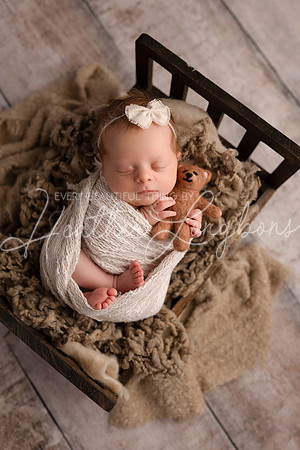 Harris Newborn-6