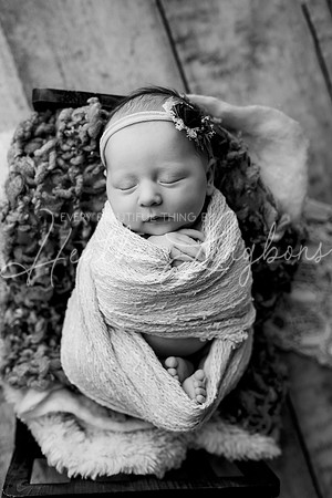 Lena Harris Newborn-93BW