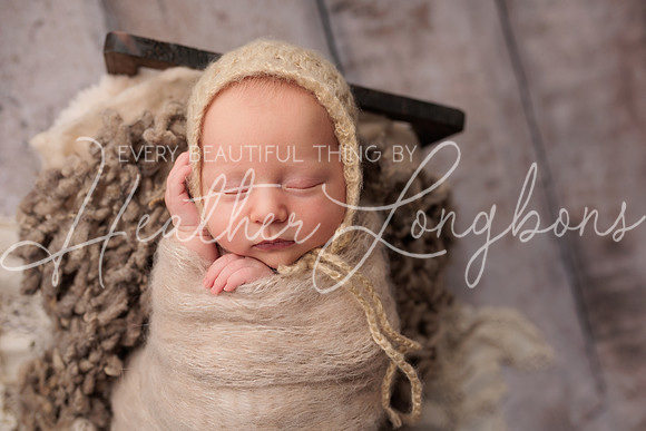 Lena Harris Newborn-95