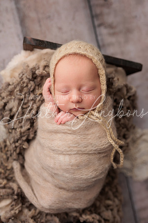 Lena Harris Newborn-96