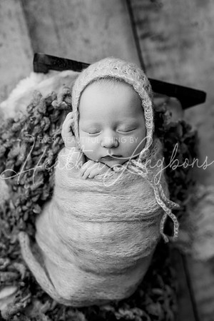 Lena Harris Newborn-96BW