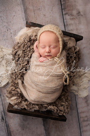 Lena Harris Newborn-97