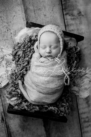 Lena Harris Newborn-97BW