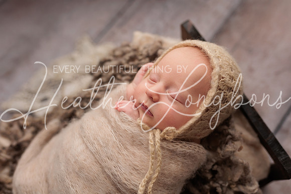 Lena Harris Newborn-98
