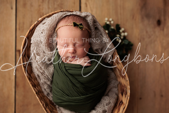 Lena Harris Newborn-101