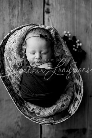 Lena Harris Newborn-102BW