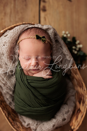 Lena Harris Newborn-103