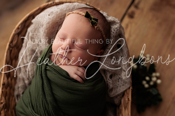 Lena Harris Newborn-104