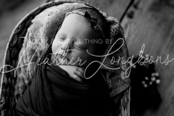 Lena Harris Newborn-104BW