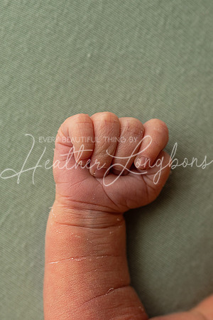 Amelia newborn-17