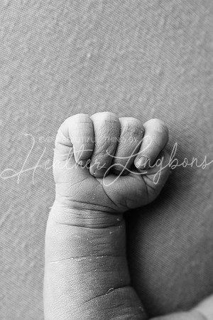 Amelia newborn-17BW