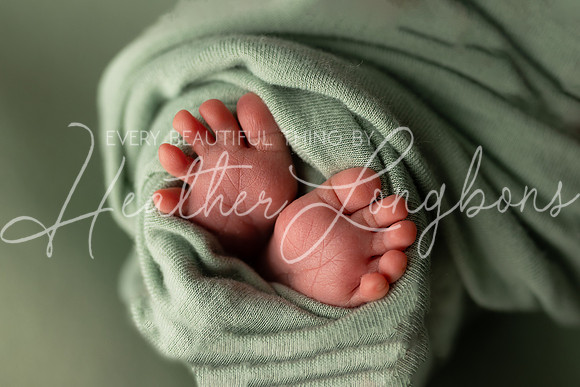 Amelia newborn-18