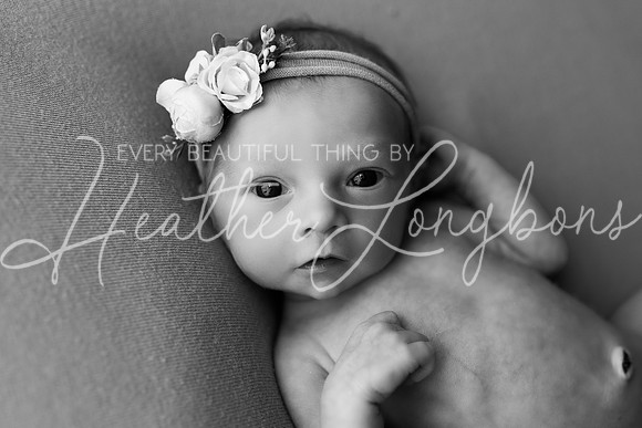 Amelia newborn-16BW
