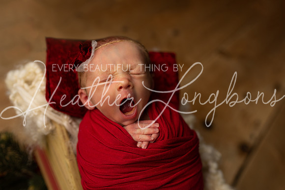 Amelia newborn-1