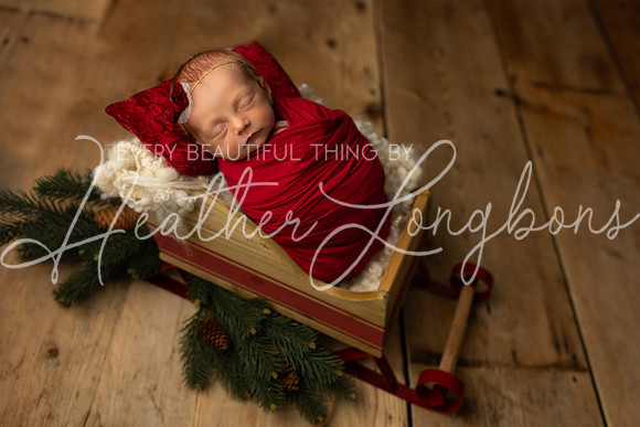 Amelia newborn-2