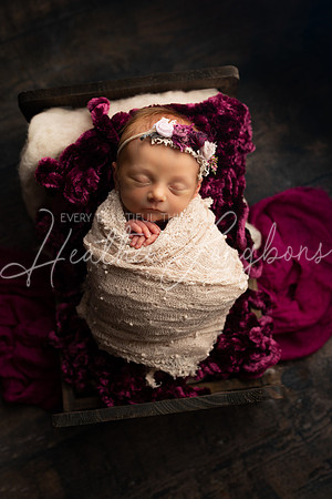 Amelia newborn-3