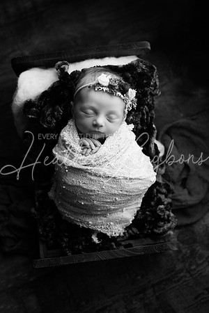 Amelia newborn-3BW