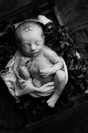 Amelia newborn-5BW