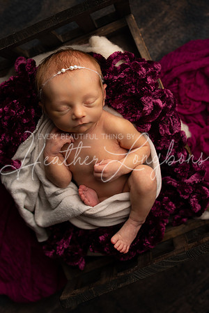 Amelia newborn-5