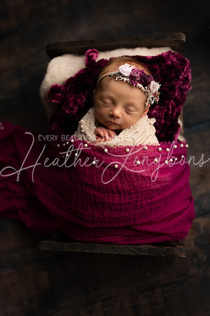 Amelia newborn-4