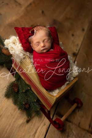 Amelia newborn-11